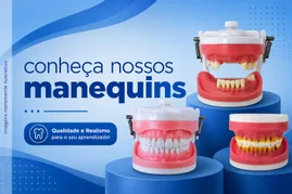 Para seu Dia a Dia