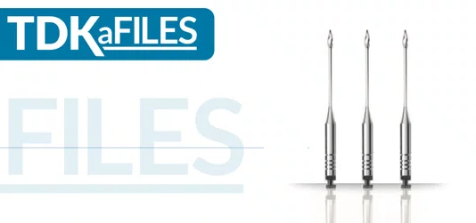 BROCA GATES N 2 28MM - TDK