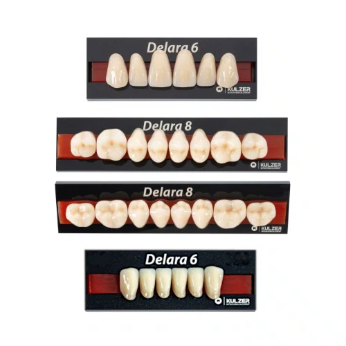 DENTE DELARA S44 SUP B1 - KULZER