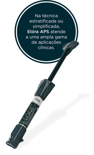 Kit Resinas Elora APS Elegance C/13 Seringas - FGM