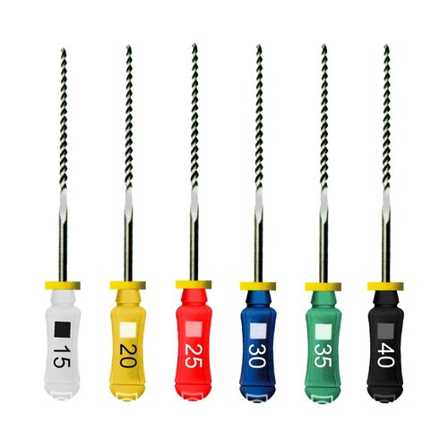 Lima NiTi Flex 15-40 21mm Maillefer - Dentsply Sirona