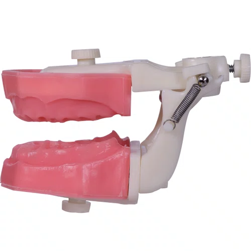 Manequim de Endodontia (PD107) - Pronew/Prodens