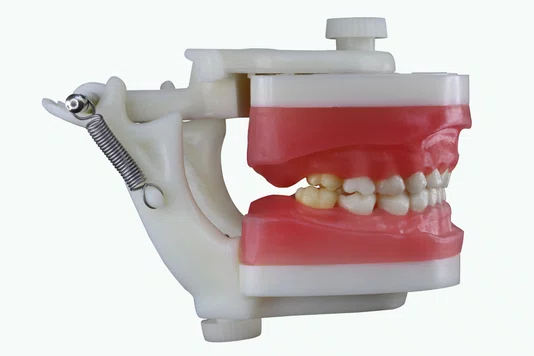 Manequim de Odontopediatria (PD114) - Pronew/Prodens