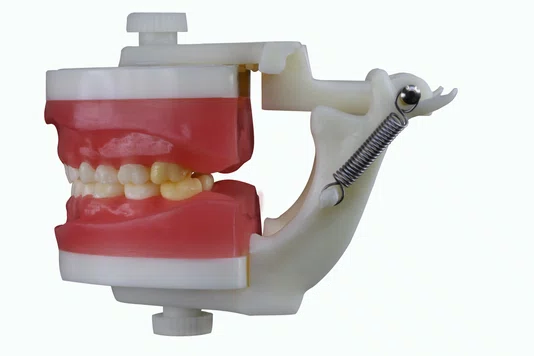 Manequim de Odontopediatria (PD114) - Pronew/Prodens