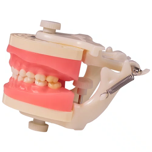 Manequim de Odontopediatria (PD114) - Pronew/Prodens