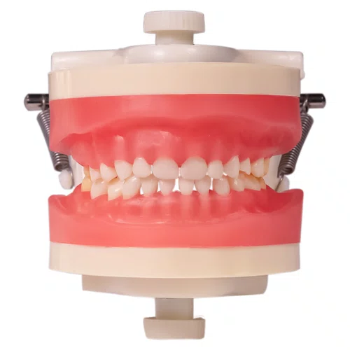 Manequim de Odontopediatria (PD114) - Pronew/Prodens