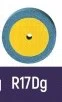 POLIDOR DIAMANTADO R17DG EVE DIAPOL - ODONTOMEGA