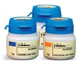 VISION DENTINA ALUMINA D3 10G - BRADENT