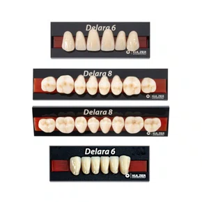 DENTE DELARA 36L INF A1 - KULZER
