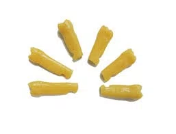 Dente nº28 Terceiro Molar Superior Esquerdo - Pronew/Prodens