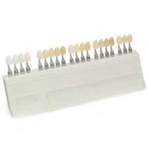 ESCALA DE CORES A-D 20 CORES - IVOCLAR