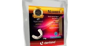 GESSO NUMBER ONE 1KG - DENTALNEWS