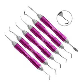 KIT ESPATULA ROSA - LM