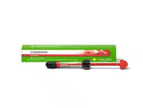RESINA CHARISMA REP A1 - KULZER