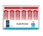 Cone de Gutta Pro‑R N 25 C/60 Uni – MK Life