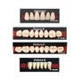 DENTE DELARA S48 SUP A1 - KULZER
