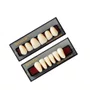 DENTE IVOSTAR S34 SUP B2 - IVOCLAR