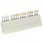 ESCALA DE CORES A-D 20 CORES - IVOCLAR