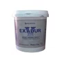 GESSO ESPECIAL EXADUR TIPO V AZUL 1KG - POLIENTAL