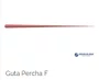 Guta Percha Acessória F C/100 Cones - Odous De Deus