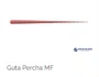 (VENC.03/06/2026) - Guta Percha Acessória MF C/100 Cones – Odous de Deus