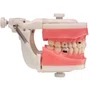 Jogo de Dentes Cariados (MDT074/4092) - Pronew/Prodens