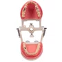 Jogo de Dentes Cariados (MDT074/4092) - Pronew/Prodens