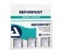Kit Pinos Fibra De Vidro Reforpost - Angelus