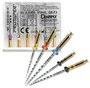 Lima Rotatória ProTaper Universal S1 25 mm C/6 Unidades Maillefer - Dentsply
