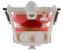 Manequim de Dentistíca (PD100) - Pronew/Prodens