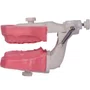 Manequim de Endodontia (PD107) - Pronew/Prodens