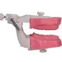 Manequim de Endodontia (PD107) - Pronew/Prodens