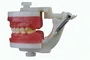 Manequim de Odontopediatria (PD114) - Pronew/Prodens