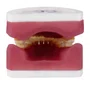 Manequim Refil de Cirurgia com Dente de Perio (AC025) - Pronew/Prodens