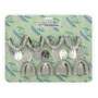 Kit de Moldeira Rasa Desdentado Lisa em Inox - Tecnodent