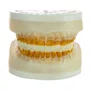 Refil para Periodontia I (AC104) - Pronew/Prodens