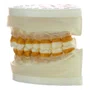Refil para Periodontia I (AC104) - Pronew/Prodens