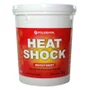 REVESTIMENTO HEAT SHOCK 1KG - POLIDENTAL