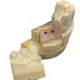 Silicone de Adição/Gengiva Artificial Gingimax - Yller