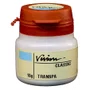 VISION TRANSPARENTE CLASSIC GREY 10G - BRADENT